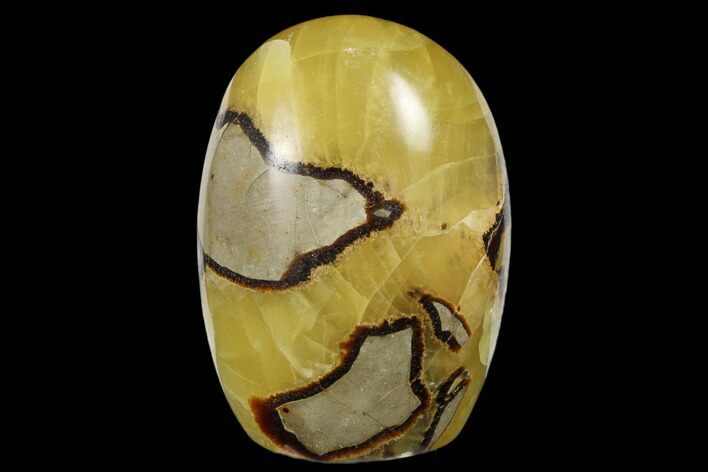Free-Standing, Polished Septarian - Madagascar #174588